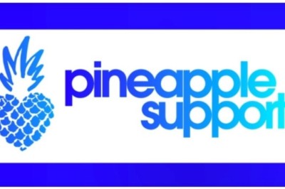 Pineapple Support Holding 2024 Mental Health Summit