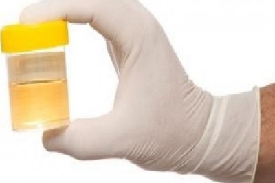 6 Tips on How to Pass a Drug Test