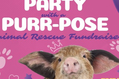 VICE IS NICE Is Back: Come Party with a Purr-pose at the Biggest Charity Event of the Season